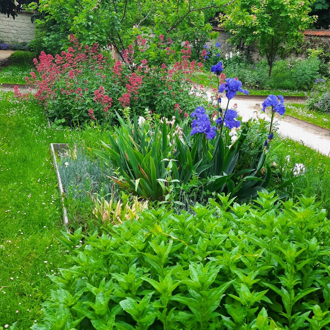 ouzbek Garden 1